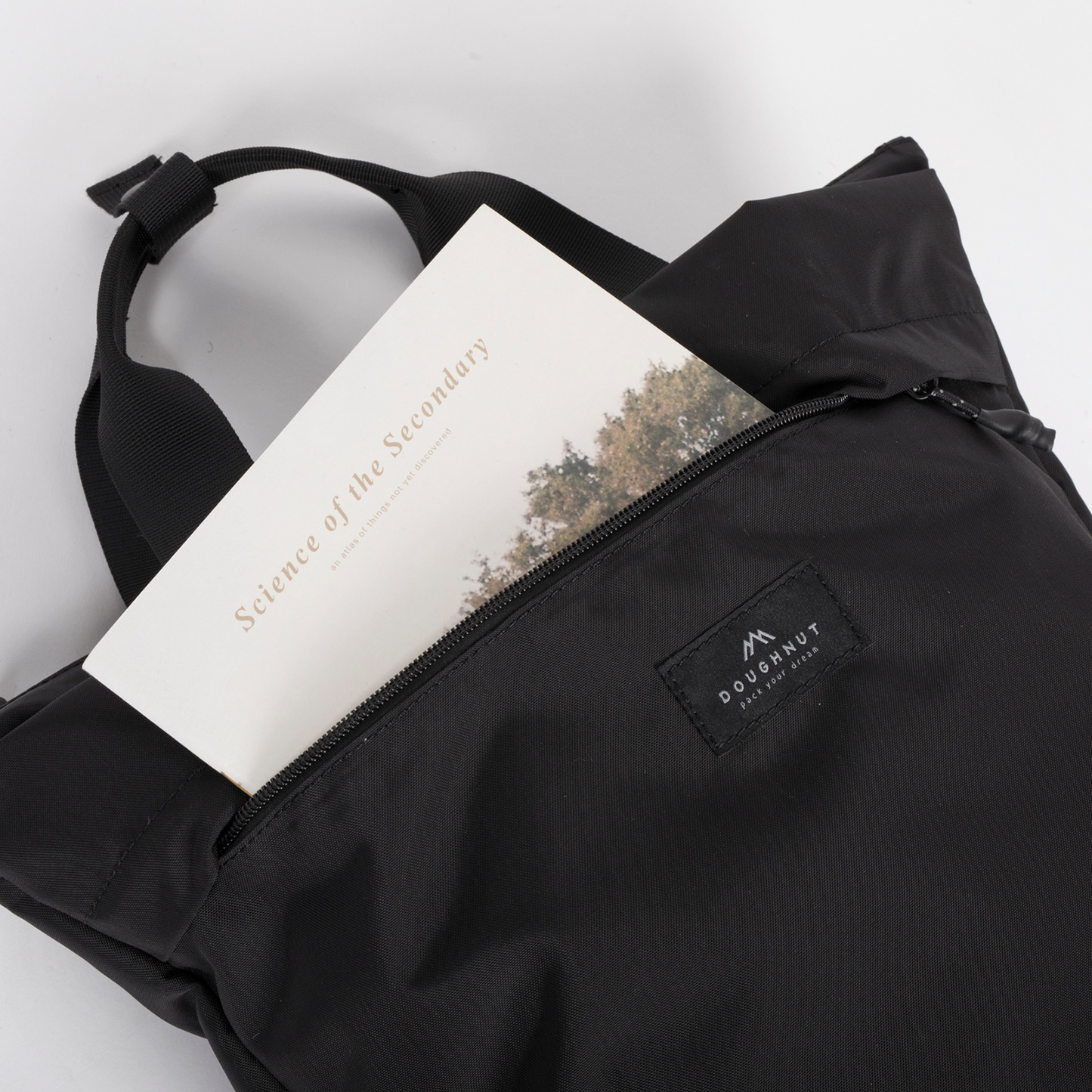 Modish Black Backpack